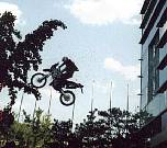 jump.jpg