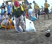 beach12.jpg