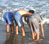 beach15.jpg