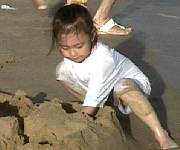 beach6.jpg