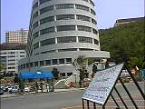 50825.jpg