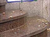 417104.jpg