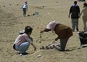 40511.jpg