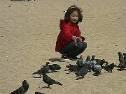 40519.jpg