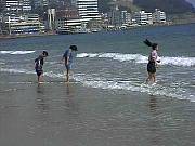 40542.jpg