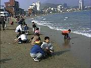 40569.jpg