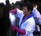 10853.jpg