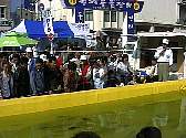 10865.jpg