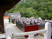 DSCN0073.JPG