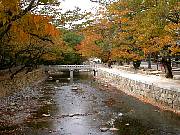 DSCN0117.JPG