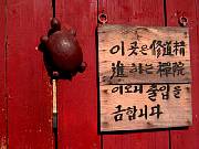 IMG_4503thumb.jpg