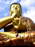 IMG_4553a.jpg