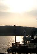 duck_goose.jpg
