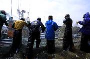 pic1.jpg
