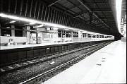 pic5.jpg