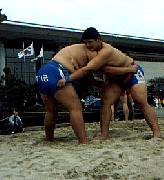 wrestling.jpg