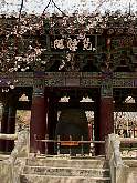 KyungJu 5.jpg