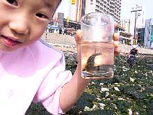 beach01.jpg