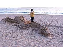 thebeachdragon04.jpg