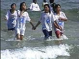 62710.jpg