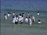 62714.jpg