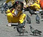 41505.jpg