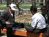 41515.jpg