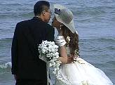 51655.jpg
