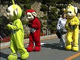 5191.jpg