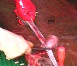 Aug08$42.jpg
