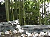 60655.jpg